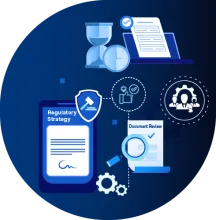 Freyr Supported a USA-based Pharmaceutical Consultant in the Review and Submission of the YY201 IND to the USFDA