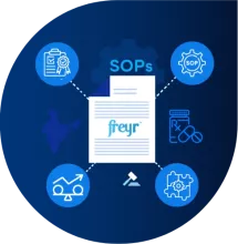 Freyr Supported in Post-Acquisition Management Support Services Establishes Integrated Processes and Systems for an Indian Multinational Pharmaceutical Giant