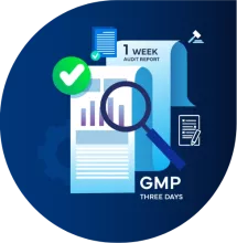 Freyr supported GMP Audit for UK-Based Pharmaceutical Company in 2 Weeks: GMP Audit Support