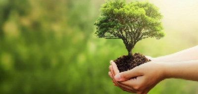 ESG Reporting Solutions