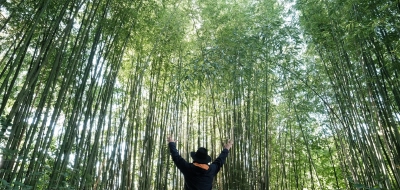 ESG Reporting Solutions