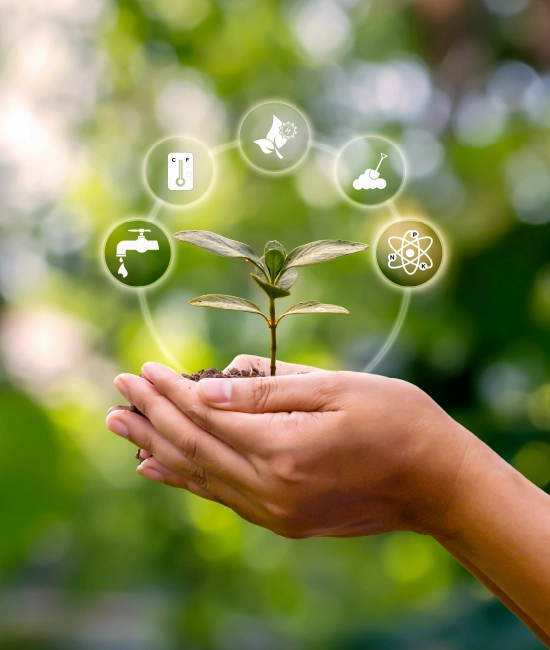 ESG Reporting Solutions